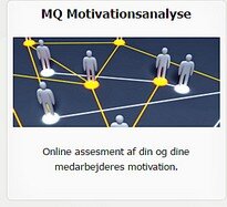 Motivationsanalyse MQ